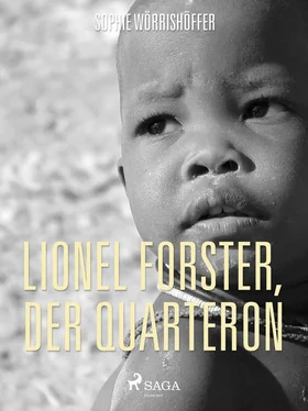 Sophie Wörrishöffer Lionel Forster, der Quarteron. Eine Geschichte aus dem Amerikanischen Bürgerkrieg обложка книги