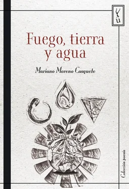 Mariano Moreno Casquete Fuego, tierra y agua обложка книги