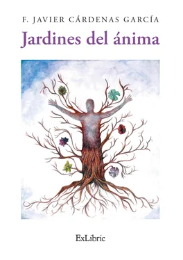 F. Javier Cárdenas García Jardines del ánima обложка книги