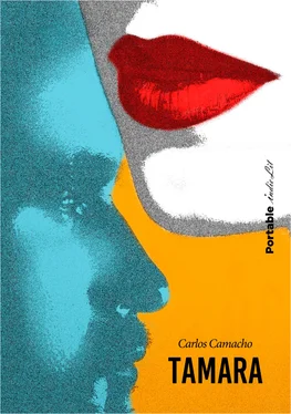 Carlos Camacho Tamara обложка книги