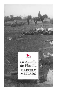 Marcelo Mellado La batalla de placilla обложка книги
