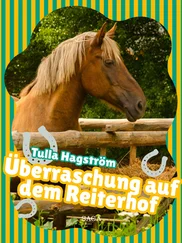 Torbjörg Hagström - Überraschung auf dem Reiterhof