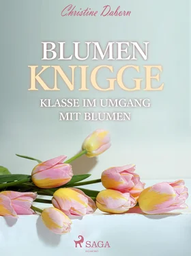 Christine Daborn Blumen Knigge - Klasse im Umgang mit Blumen обложка книги