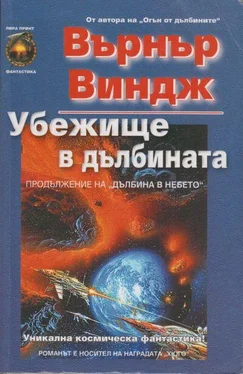 Върнър Виндж Убежище в дълбината обложка книги