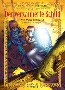 Peter Gotthardt Die Ritter der Elfenkönigin 1: Der verzauberte Schild (mit Gesang und Musik) обложка книги