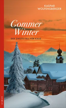 Kaspar Wolfensberger Gommer Winter обложка книги