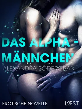 Alexandra Södergran Das Alphamännchen - Erotische Novelle обложка книги