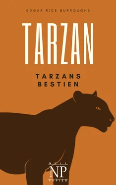 Edgar Burroughs Tarzan – Band 3 – Tarzans Tiere обложка книги