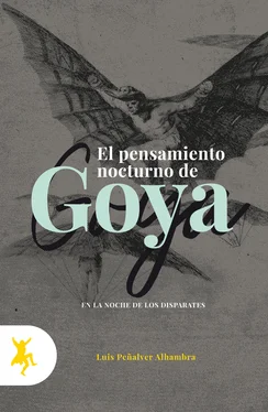Luis Peñalver Alhambra Los pensamientos nocturnos de Goya обложка книги