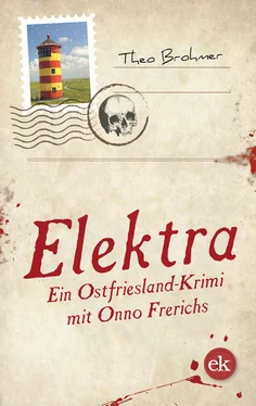 Theo Brohmer Elektra обложка книги