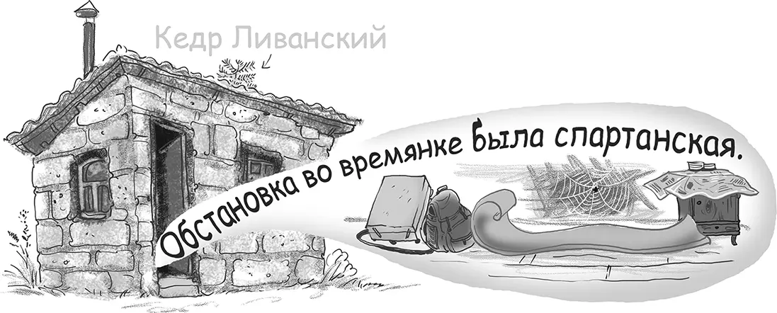 А теперь сильвупле Все внимание на арену Начинаются чудеса радостно - фото 21