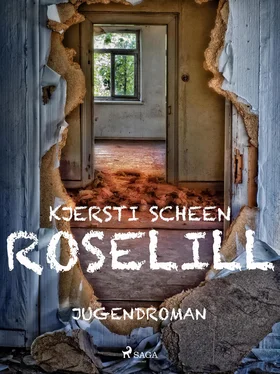 Kjersti Scheen Roselill обложка книги