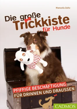 Manuela Zaitz Die große Trickkiste für Hunde обложка книги