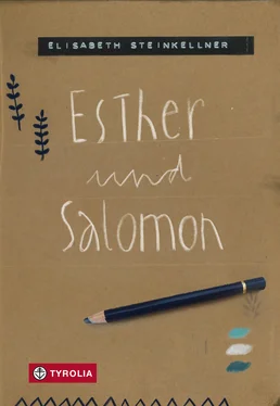 Elisabeth Steinkellner Esther und Salomon обложка книги