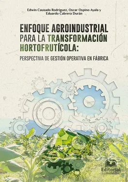 Edwin Causado Rodríguez Enfoque agroindustrial para la transformación hortofrutícola: perspectiva de gestión operativa en fábrica обложка книги