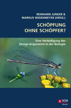 Неизвестный Автор Schöpfung ohne Schöpfer? обложка книги