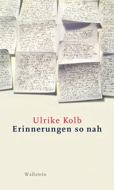 Ulrike Kolb Erinnerungen so nah обложка книги