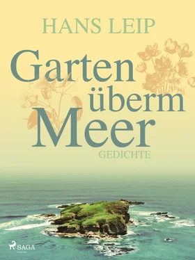 Hans Leip Garten überm Meer обложка книги