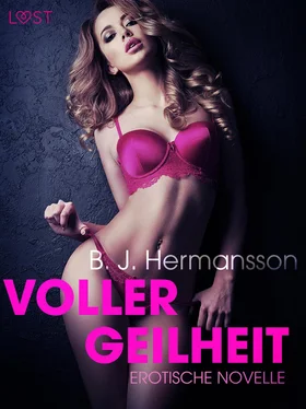 B. J. Hermansson Voller Geilheit: Erotische Novelle обложка книги