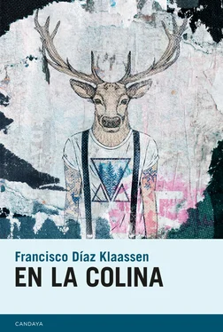 Francisco Díaz Klaassen En la colina обложка книги