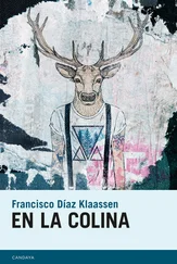 Francisco Díaz Klaassen - En la colina
