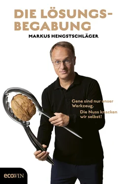 Markus Hengstschläger Die Lösungsbegabung обложка книги