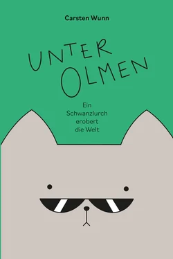 Carsten Wunn Unter Olmen обложка книги