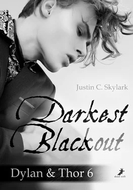 Justin C. Skylark Darkest Blackout обложка книги