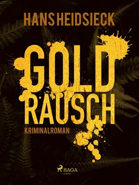 Hans Heidsieck Goldrausch обложка книги