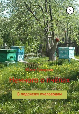 Юлия Суворова Немного о пчёлах в подсказку пчеловодам обложка книги