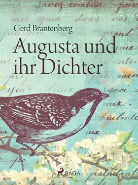 Gerd Mjøen Brantenberg Augusta und ihr Dichter обложка книги