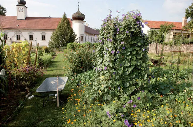 Schaugarten der Arche Noah in Schiltern Niederösterreich Wer einen - фото 10