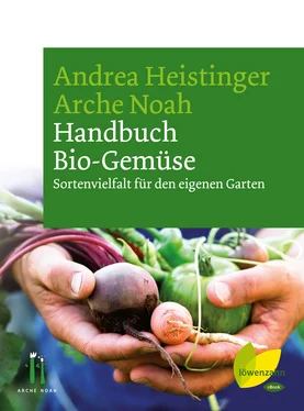 Verein Arche Noah Handbuch Bio-Gemüse обложка книги