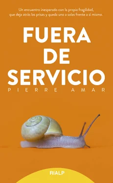 Pierre Amar Fuera de servicio обложка книги