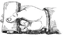 I shall soon understand said the baronet Of course by being able to secure - фото 14