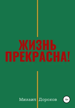 Михаил Дорохов Жизнь прекрасна! обложка книги