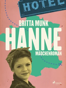 Britta Munk Hanne обложка книги