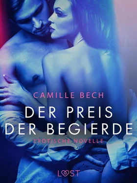 Camille Bech Der Preis der Begierde: Erotische Novelle обложка книги