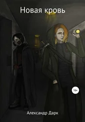 Александр Дарк - Новая кровь