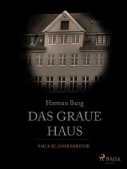 Herman Bang - Das Graue Haus