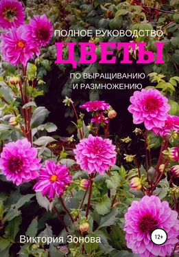 Виктория Зонова Цветы. Полное руководство по выращиванию и размножению обложка книги