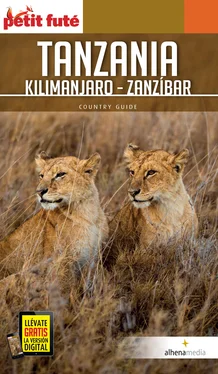 vvaa Tanzania, Kilimanjaro, Zanzíbar обложка книги