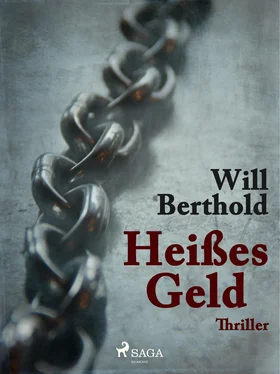 Will Berthold Heißes Geld обложка книги