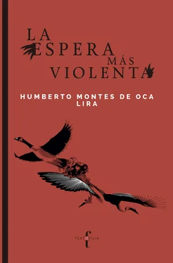 José Humberto Montes de Oca Lira La espera más violenta обложка книги