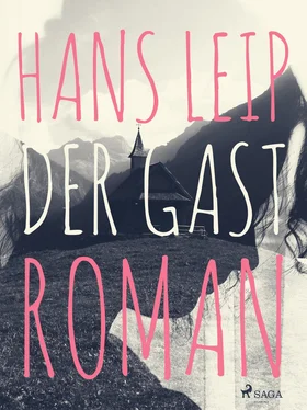 Hans Leip Der Gast обложка книги