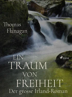 Thomas Flanagan Ein Traum von Freiheit обложка книги