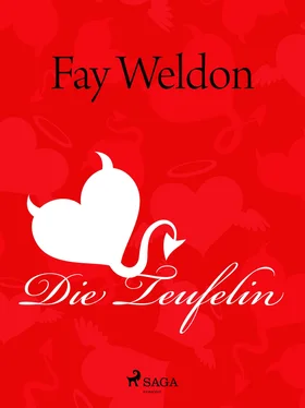 Fay Weldon Die Teufelin обложка книги