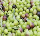 Aceitunas sin tratamiento supuesto 2 Piña deshidratada supuesto 3 - фото 13