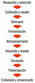 De forma resumida los pasos de la elaboración y conservación del choucrout y - фото 38