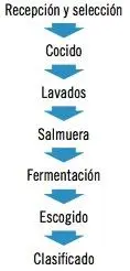 1 Recepción y selección la aceituna de mesa se recoge antes de que esté - фото 31